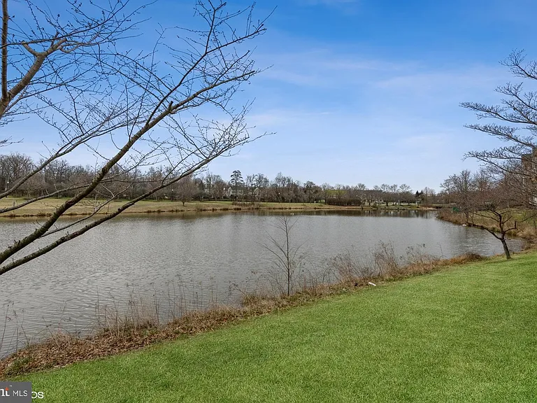 25340 Lake Mist Sq #301 — Photo 34