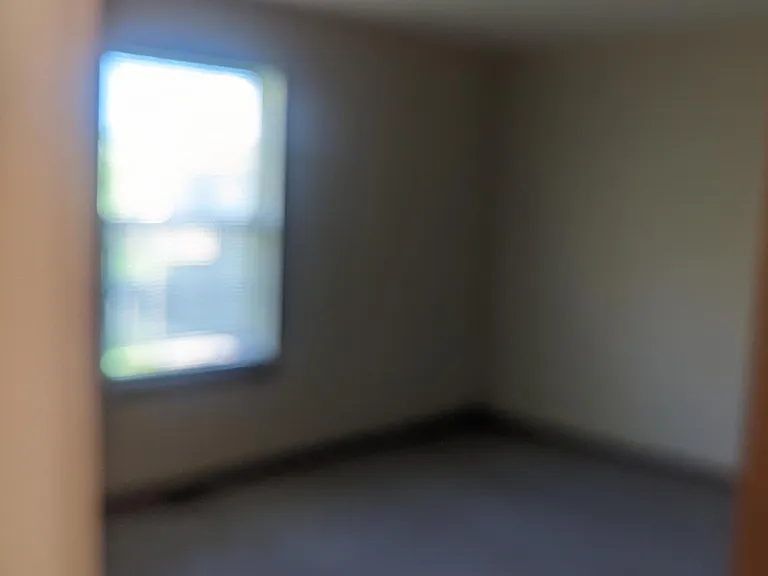 3323 Dove Dr — Photo 12