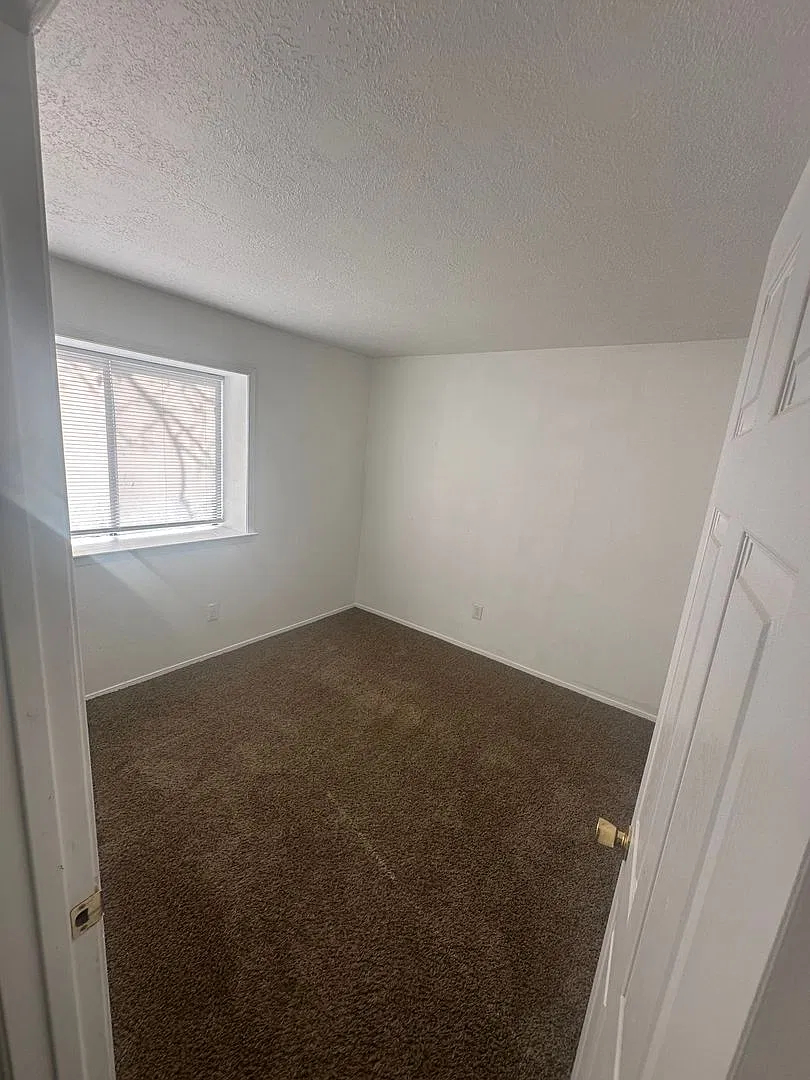429 Victor Lane — Photo 4
