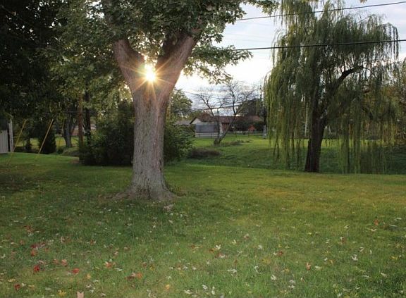 4th image of 429 Katy Ln