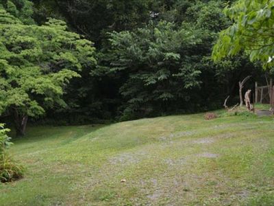 Virginia St, Johnson city, TN, 37604