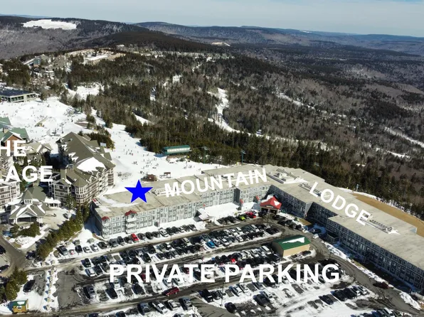 75 Mountain Lodge Ln #117, Slatyfork, WV 26291