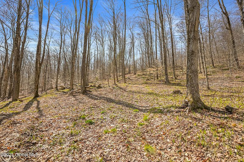3rd image of L9.114 Lutheranville Road