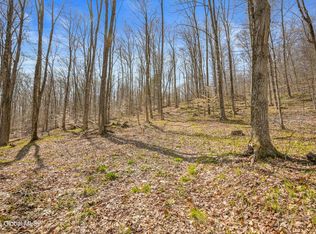 L9.113 Lutheranville Road, East Worcester, NY 12175