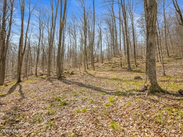 L9.113 Lutheranville Road, East Worcester, NY 12175