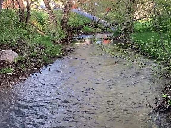 3rd image of 9680 W County Road 38e
