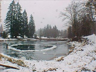 3rd image of 35001 NE 178th Ct