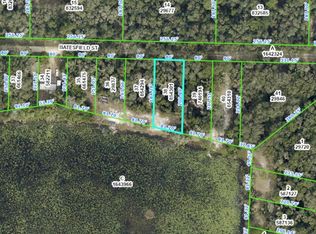 35090 Batesfield St #38, Webster, FL 33597