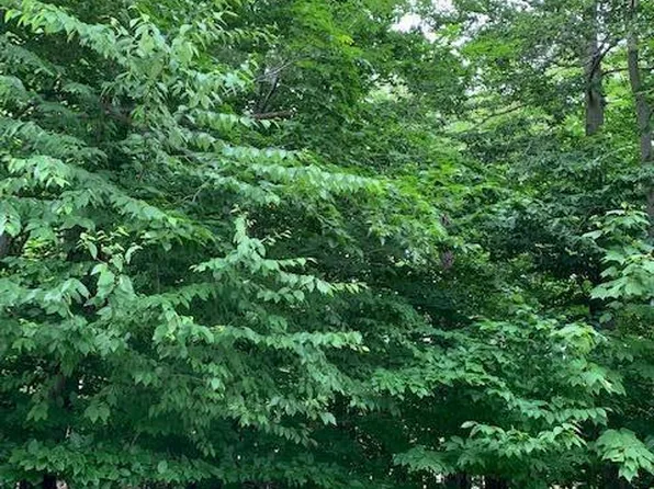 LOT 228 Brandywine Ter #J, Tobyhanna, PA 18466