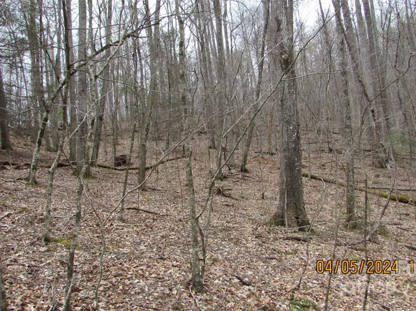 0 Deer Park Lake Rd, Spruce Pine, NC 28777