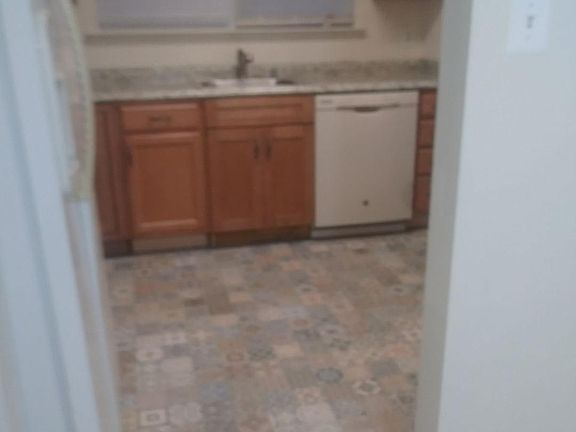 kitchen (new flower tile floor)