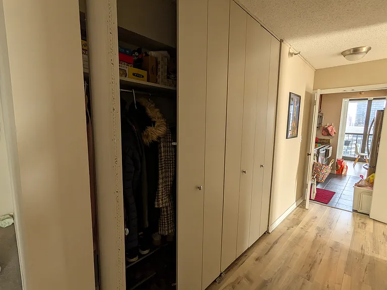 10 E Ontario St #4604 — Photo 23