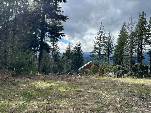 112 7 Burl Lane, Packwood, WA 98361