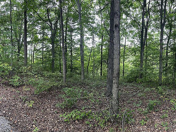 5th image of LOT 84 Stillwater Blvd