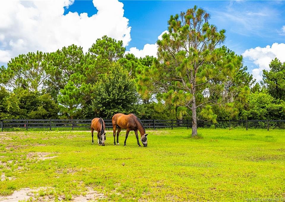 49th image of this home