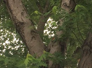 254 Mc 10, Texarkana, AR 71854