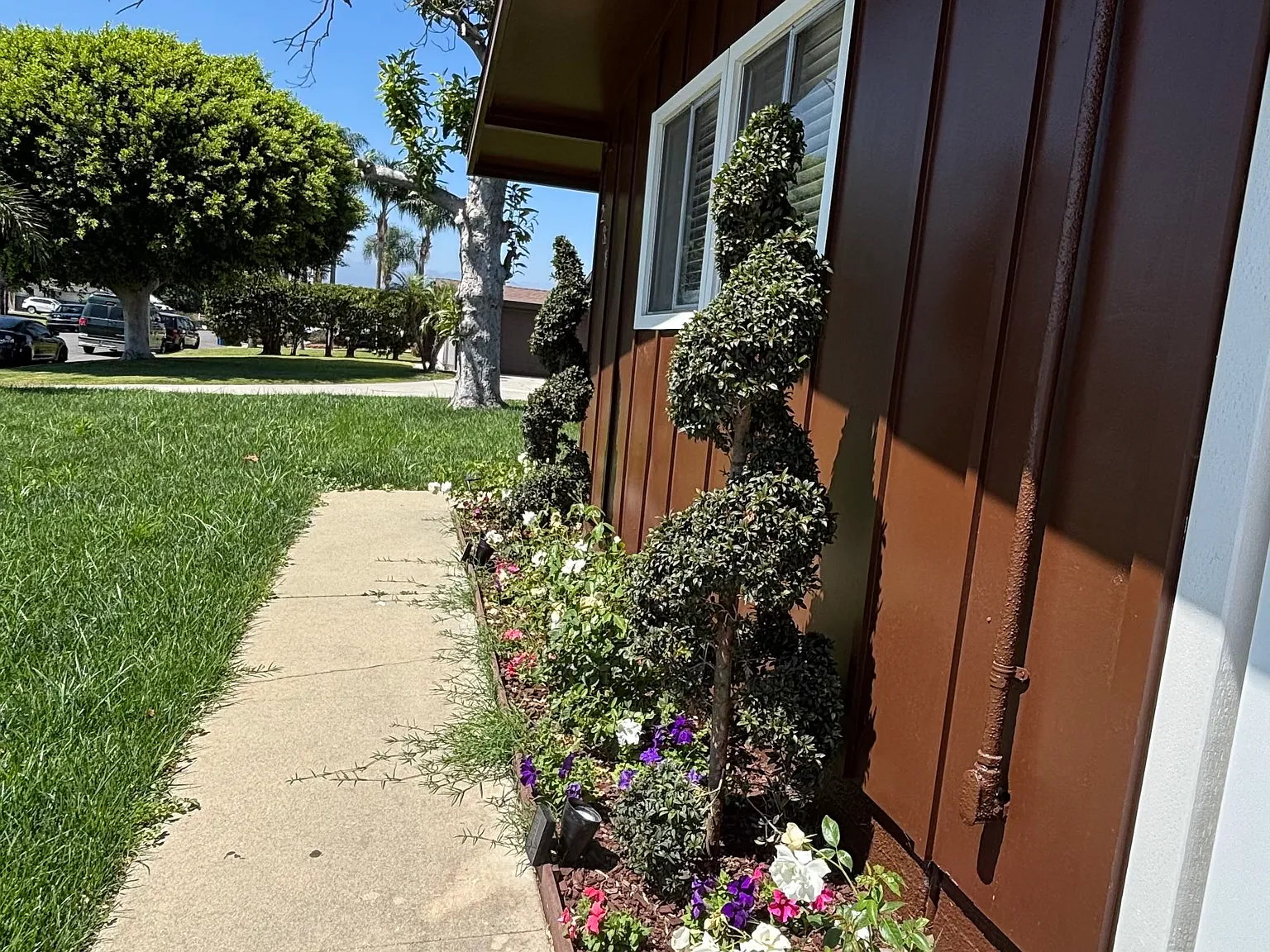 3 bed, 1.5 bath, 1556 sqft, $3,750 — Photo 3