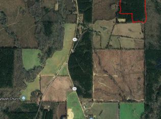 119 Shedd Ln, Pelahatchie, MS 39145