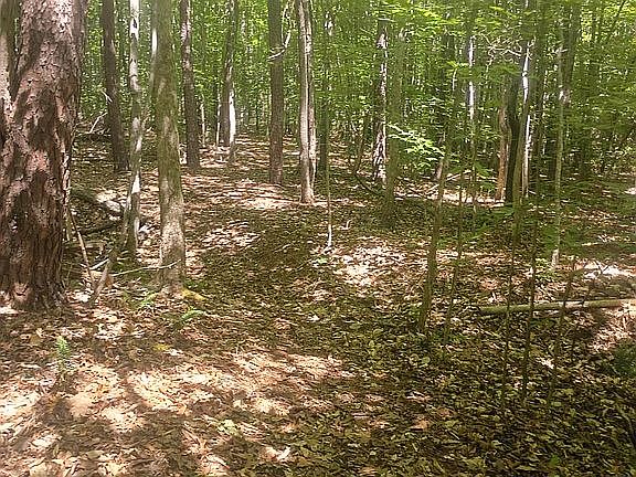 2nd image of 0 Hill Rd