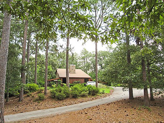 hidden among the pines