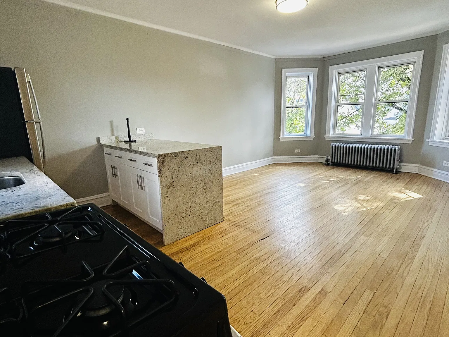 3922 North Milwaukee Avenue - 4714-2F — Photo 4