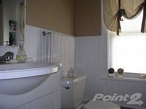 Bright Downstairs Bathroom