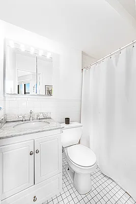 Rented by Brown Harris Stevens | media 16