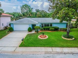 3123 Swan Ln, Safety Harbor, FL 34695