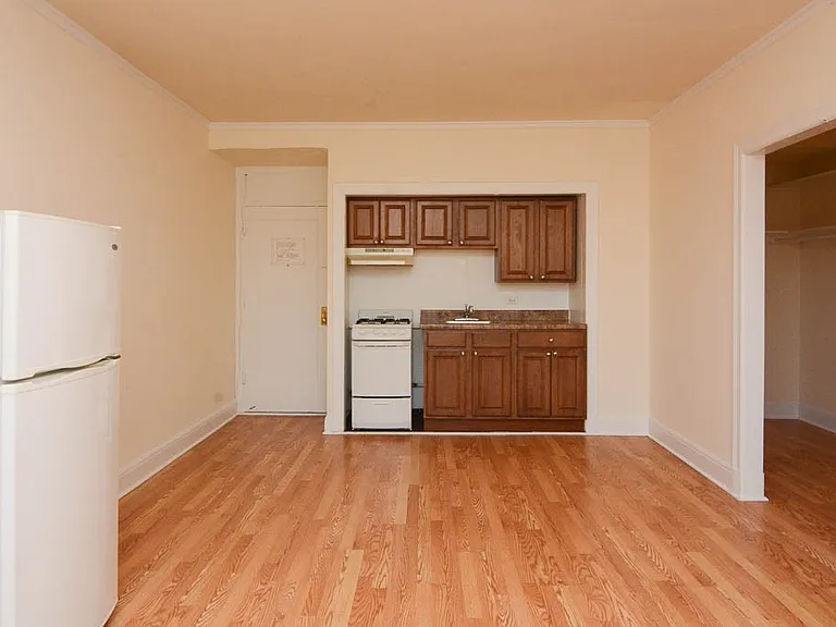 3335 W Diversey Ave #532 — Photo 9