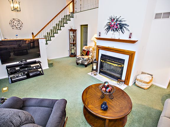 Wood Burning Fireplace