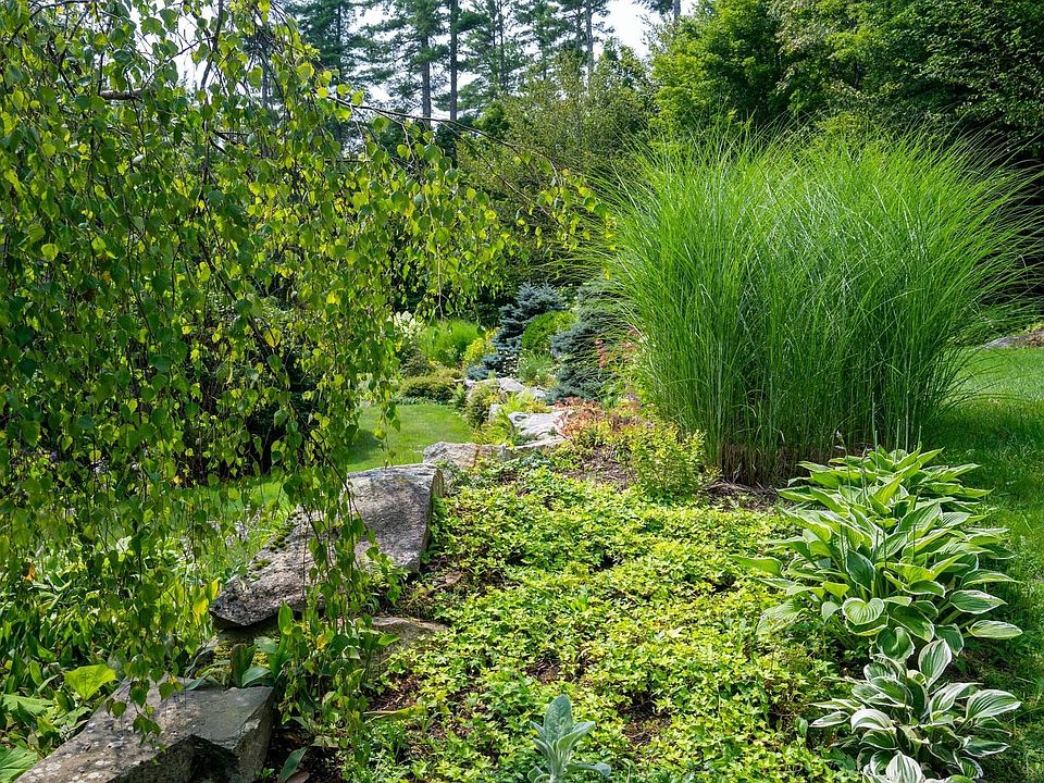 202 Pratt Bridge Road, Jamaica, VT 05343 Zillow