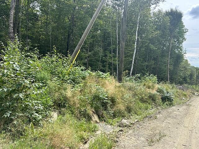 2nd image of 139 Fern Road