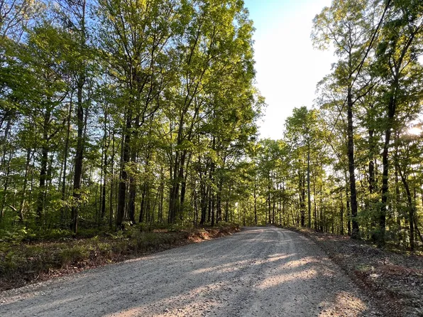 3.45 Ravencliff Rd, Talking Rock, GA 30175