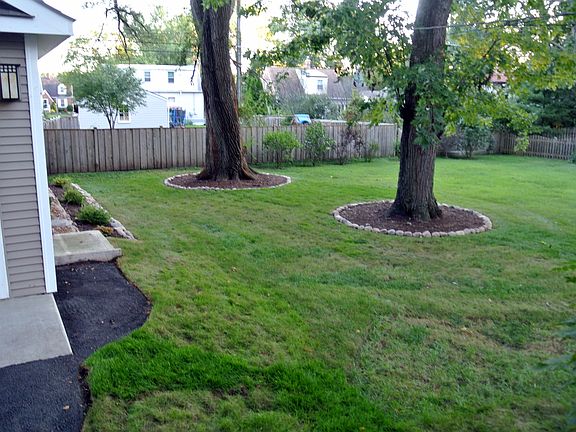 Park like backyard
