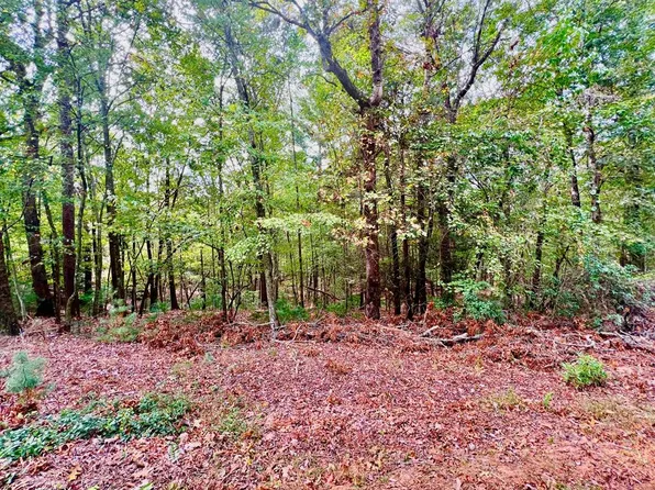 298 Etowah Dr, Ellijay, GA 30540