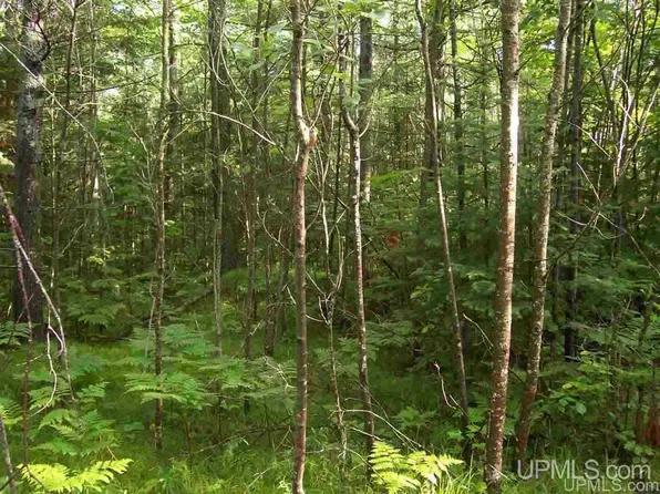 Campbell Lane Pcl 1 #T, Florence, WI 54121