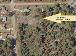 1020 James Ave, Lehigh Acres, FL 33936
