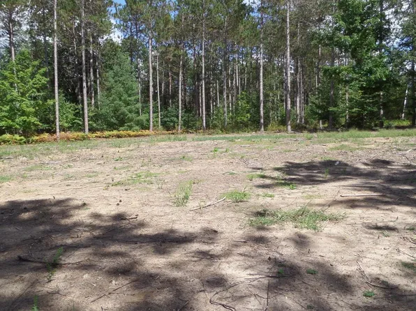 11382 Emerald Forest Ln, Interlochen, MI 49643