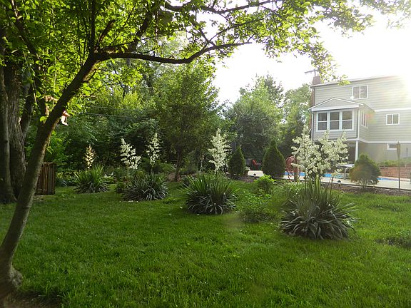 back- yard