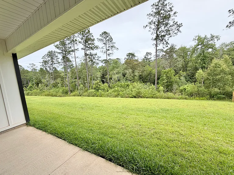 Backyard facing the woods