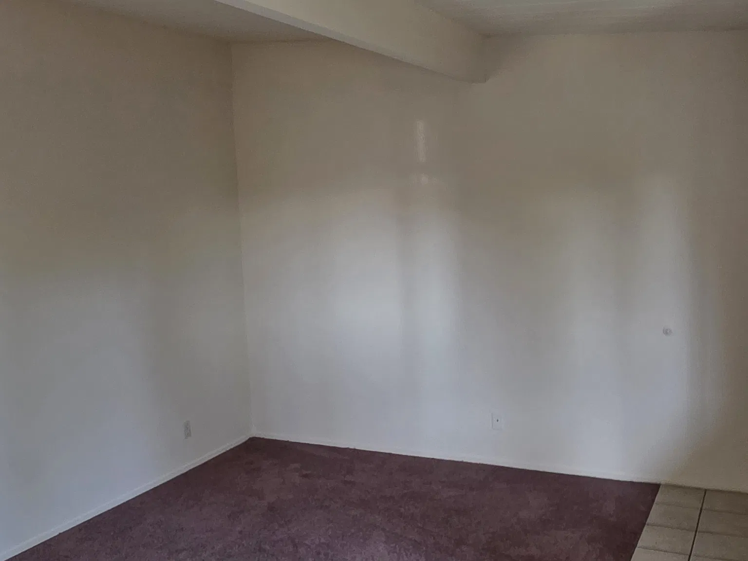 1 bed, 500 sqft, $1,450 — Photo 3