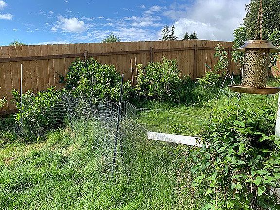 5 apple 3 plums trees