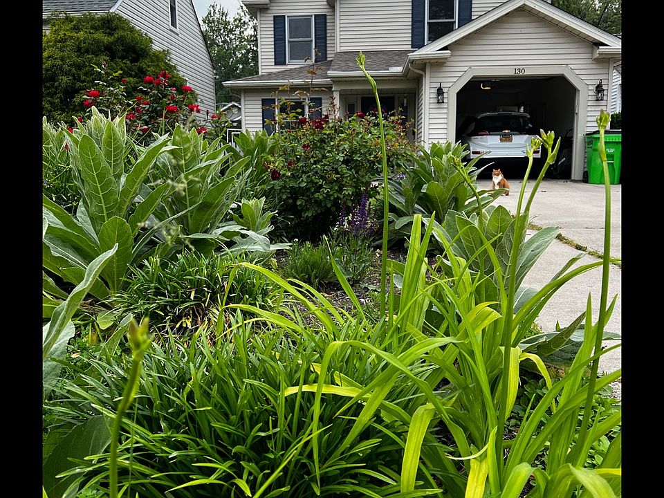 1st image of 130 Woodstock Dr