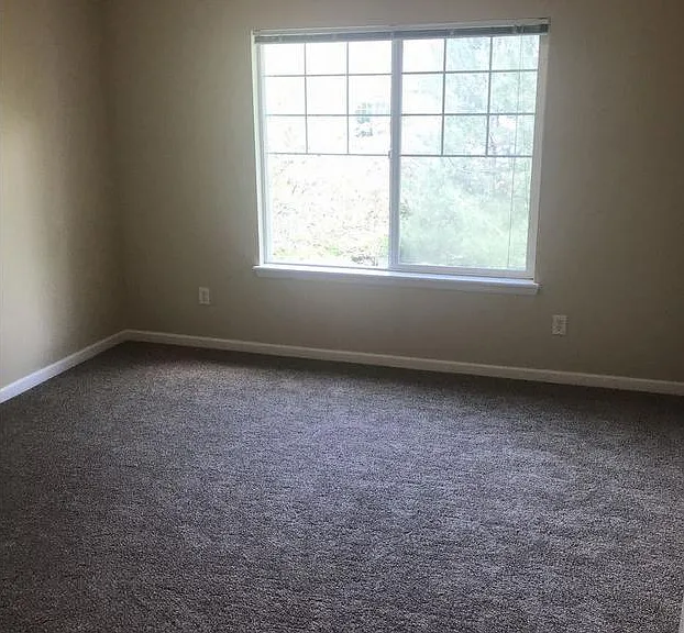 4735 Hahns Peak Dr #203 — Photo 11