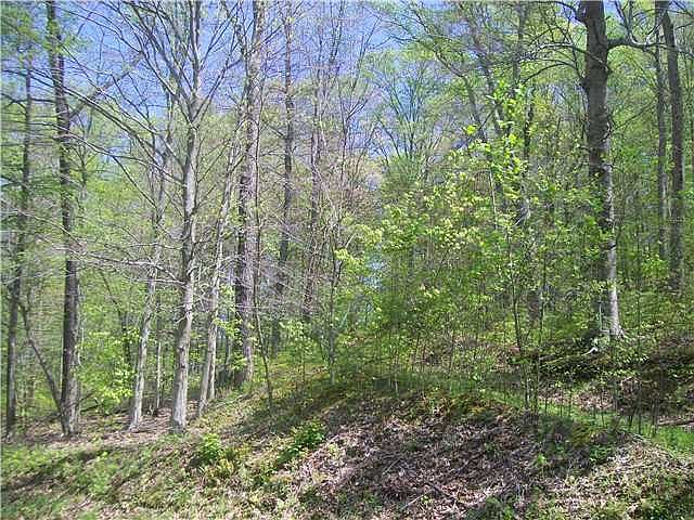 2nd image of 5834 Hansley Rd