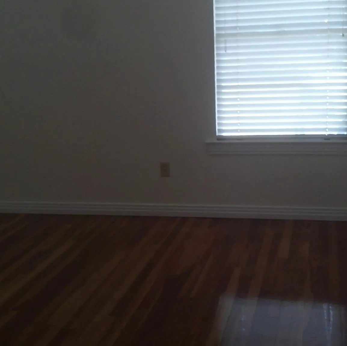 1703-1 Woodrow Ave — Photo 2
