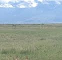 3rd image of Vacant Land - 40 Acres Alamosa