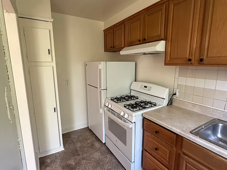 54-60 Jackson Ave #33 — Photo 9