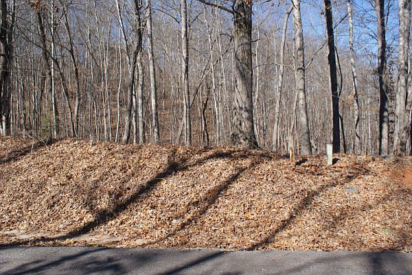 2nd image of Whitetail Trail #28