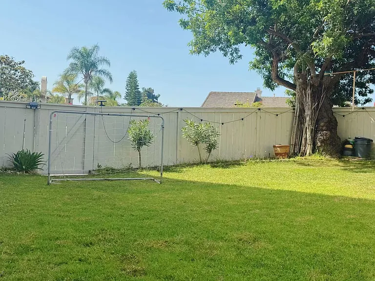 Exterior Side grass yard